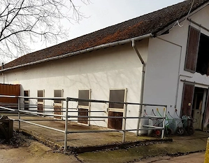 Stallgebäude mit 8 Paddockboxen in 67374 Hanhofen zu fairen Konditionen zu vermieten Bild 6