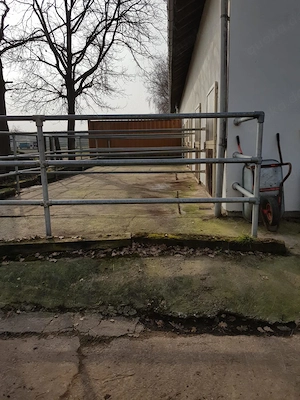 Stallgebäude mit 8 Paddockboxen in 67374 Hanhofen zu fairen Konditionen zu vermieten Bild 7