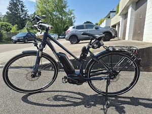 E-Bike Damen 28 Zoll gebraucht Hercules Futura Blau