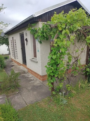 Garten mit Bungalow in Jena abzugeben