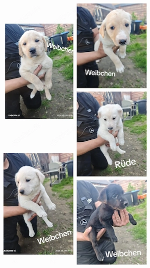 Wir suchen ein neues Zuhause