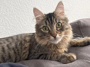 Annabella möchte mit Schwester Angelina in ein tolles Zuhause umziehen