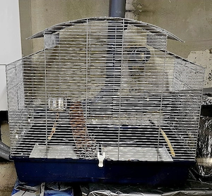 Vogelkäfig