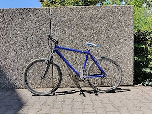 MTB Herrenfahrr 