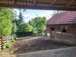 Offenstallplatz für Isländer frei Bild 2