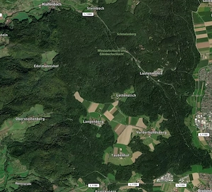 Offenstallplatz für Isländer frei Bild 3
