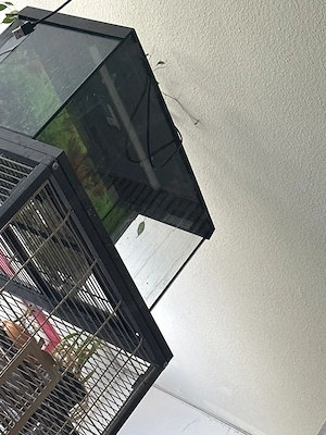 verkaufe ein 60 luter aqaurium 