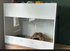 Terrarium 