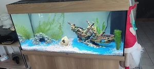 Aquarium mit passendem Unterschrank 