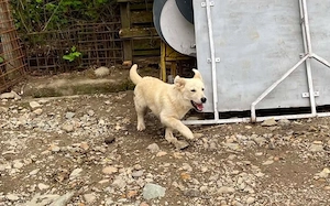 Hübsche Stella sucht Familie