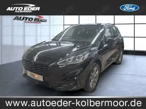 Ford Kuga ST-Line Rückfahrkamera / Tempomat Sportpaket