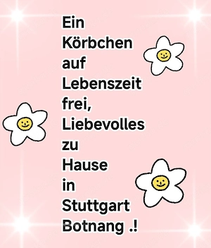 Suche ruhigen, lieben Hund in Stuttgart (Platz v. Preis)