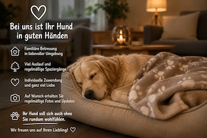 Ihr Hund macht Urlaub bei uns ! - Familiäre Hundebetreuung