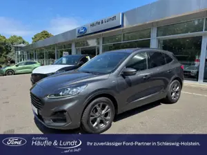 Ford Kuga ST-Line X Allrad Allwetterreifen Rückfahrkam. Navi