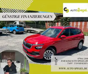 Skoda Kamiq Selection LED Keyless Kamera Carplay MFL