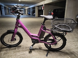 QIO Eins AP-8 Kompakt-E-Bike 20" 8-Gang Rücktritt (UVP 3.499 )