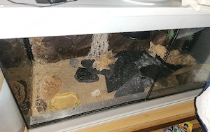 Terrarien & Zubehör 