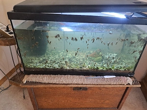 Aquarium komplet