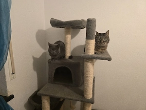 scrooge und marly