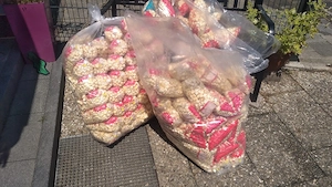 Popcorn für Futterzwecke
