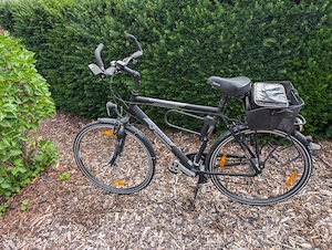 Pegasus Piazza Herren Fahrrad 28 " Zoll schwarz grau mit Taschen