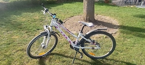 Bulls City Bike, 24 Zoll