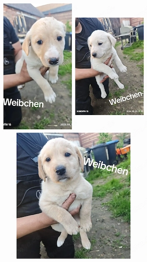 Wir suchen ein neues Zuhause
