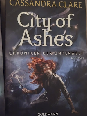 Shadowhunters Bücherreihe Teil 2-5