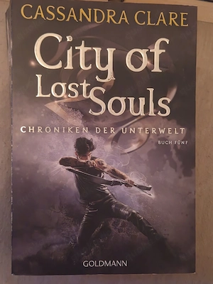 Shadowhunters Bücherreihe Teil 2-5