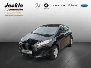 Ford Fiesta Sync Edition, WINTERPAKET