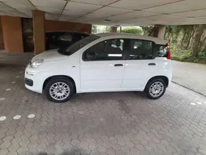 Fiat New Panda Kleinwagen