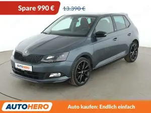 Skoda Fabia 1.0 TSI Monte Carlo*TEMPO*PDC*SHZ*KLIMA*
