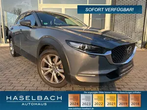 Mazda CX-30 Selection Matrix Freisprech LogIn RFK RVM Lenkradh