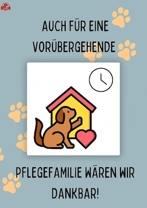 Pflegestellen gesucht 