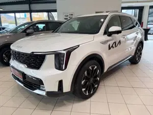 Kia Sorento 2.2 CRDi Platinum 4WD Leder Nappa 360°Kamera