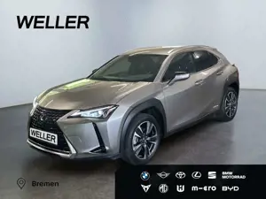 Lexus UX 250h Style Edition Bi-LED*ACC*CAM*SHZ*CarPlay