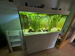 Axolotl und Juwel 300
