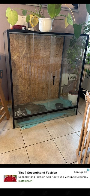 Glas terarrium 100x120x60