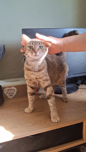 Otto + Emely suchen gemeinsam ein Zuhause
