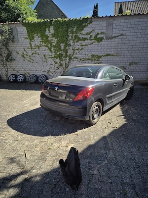 Es ist Cabrio Zeit  Bild 6