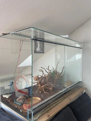 Großes Terrarium mit viel Zubehör