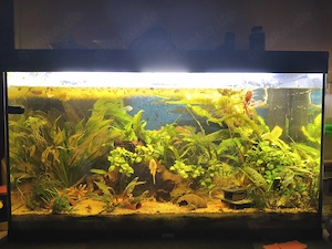 Aquarium 240 l Becken mit Deckel  Licht