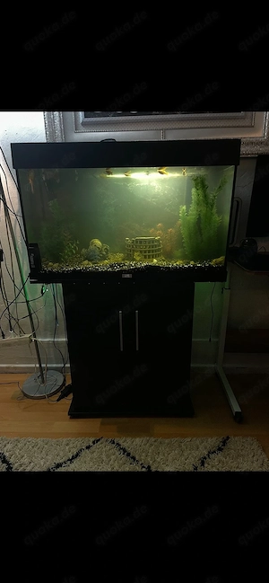 aquarium juwel