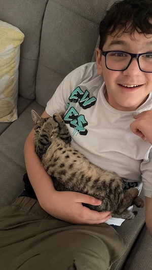 Verschmuste Katze, 3 Monate alt