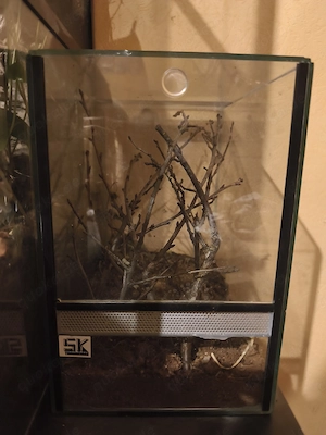 Kleines Terrarium wird noch leer gemacht 