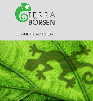 Reptilien für Reptilienbörse Wörth am 27.6.26