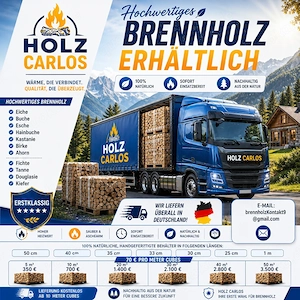 Brennholz auf den Winter vor