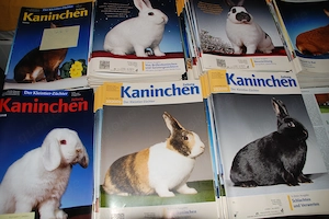 Kaninchenzeitung komplette Jahrgänge von 2009 - 2014