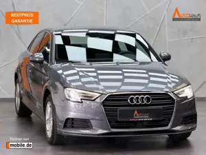 Audi A3 30 TDI basis 1.6 TDI|PDC|KLIMA|SHZG|NAVI|LM