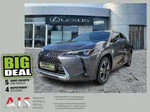 Lexus UX 250h Style Edition Navi*ACC*KAM*SHZ*DAB